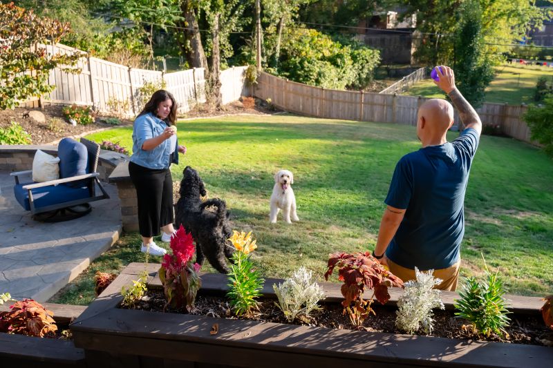 Playing in Our Backyard