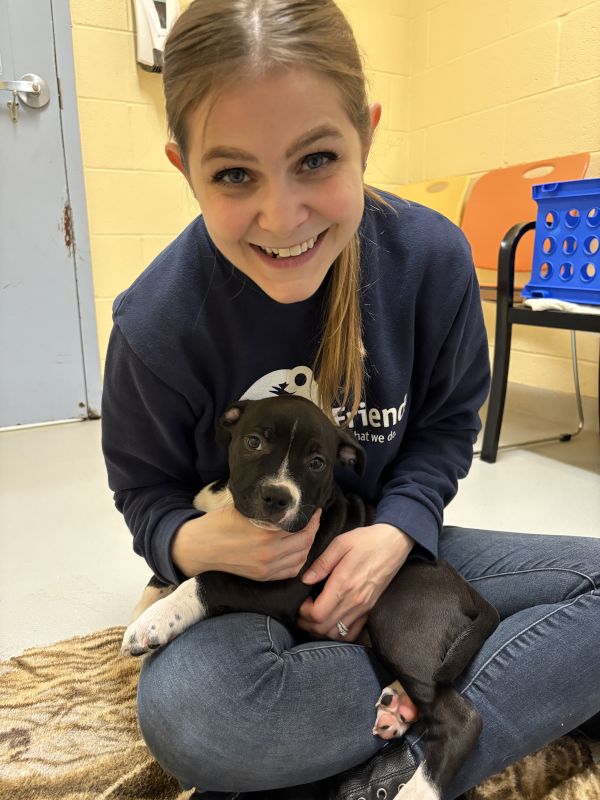 Volunteering at Animal Friends